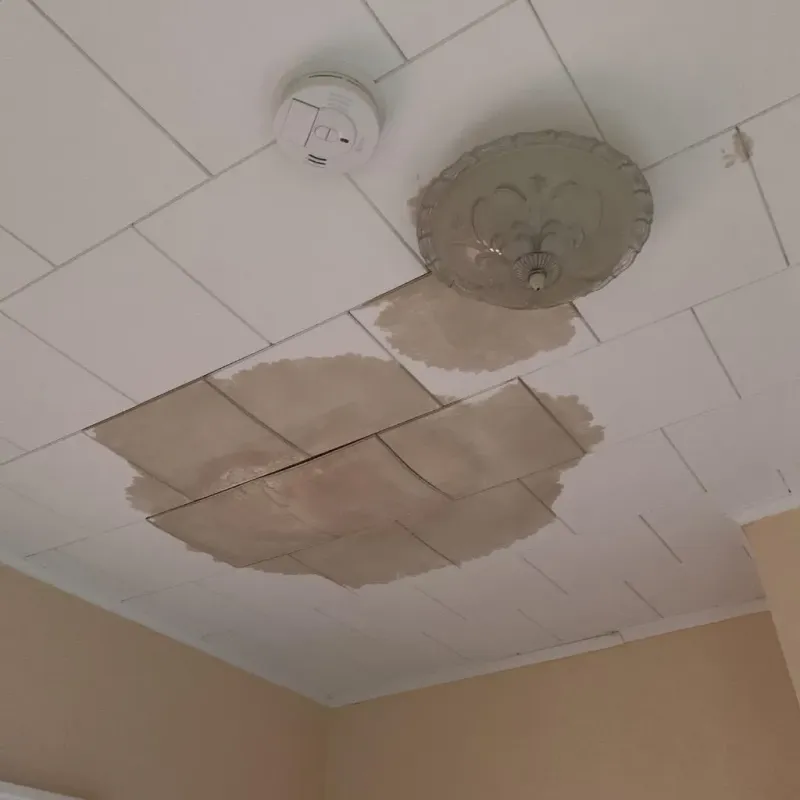 Ceiling Water Damage Repair in Roanoke Rapids, NC