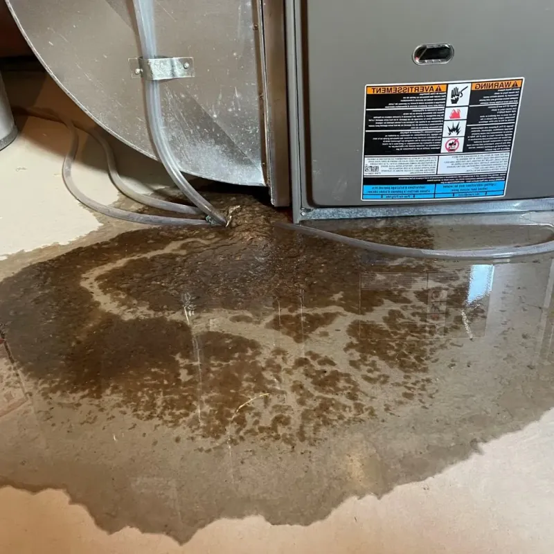 Pipe Burst and Leak Restoration in Roanoke Rapids, NC