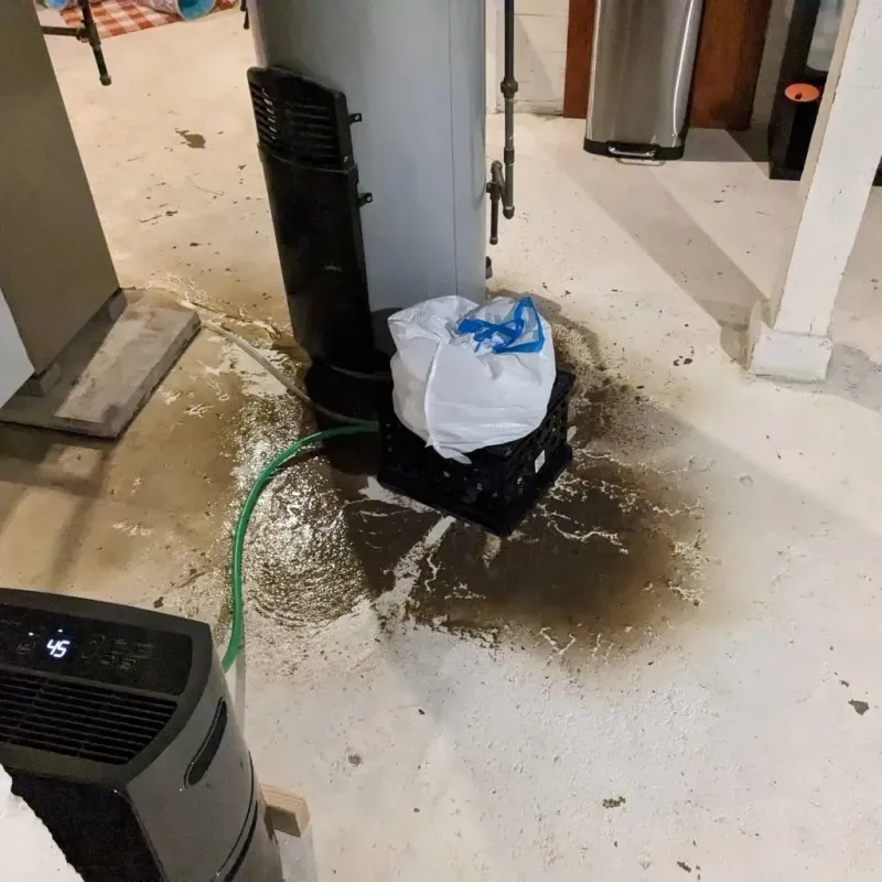 Sewage Backup Cleanup Service in Roanoke Rapids, NC